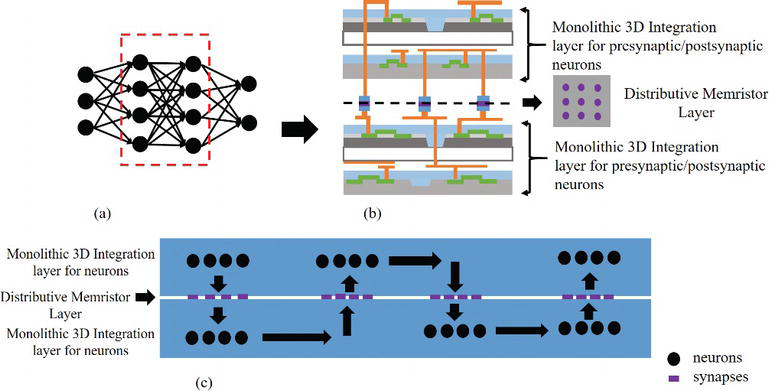 Figure 4. 3D neuromorphic system showing (a) 2D neural network, (b) 3D implementation, (c) neuron-synapse connectivity. (Image: IntechOpen)